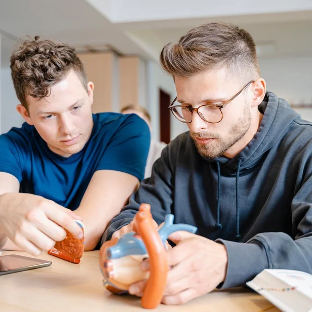 Studierende im dualen Studium Therapie- und Pflegewissenschaften vertiefen ihr Wissen in der Anatomie-Vorlesung. Studierende im dualen Studium Therapie- und Pflegewissenschaften vertiefen ihr Wissen in der Anatomie-Vorlesung.