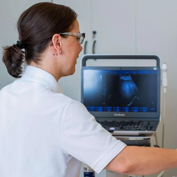Ärztestellen Oberärztin macht Oberbauch Ultraschall an Patientin