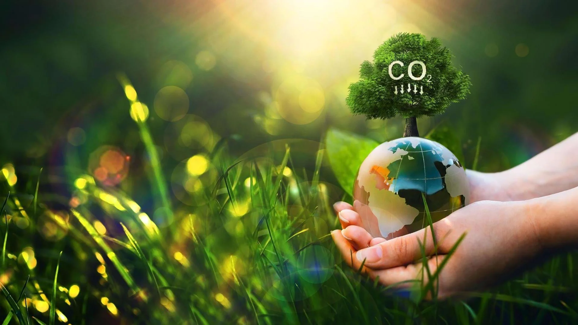 Weltkugel mit Baum mit CO2 Aufschrift vor Grashalmen