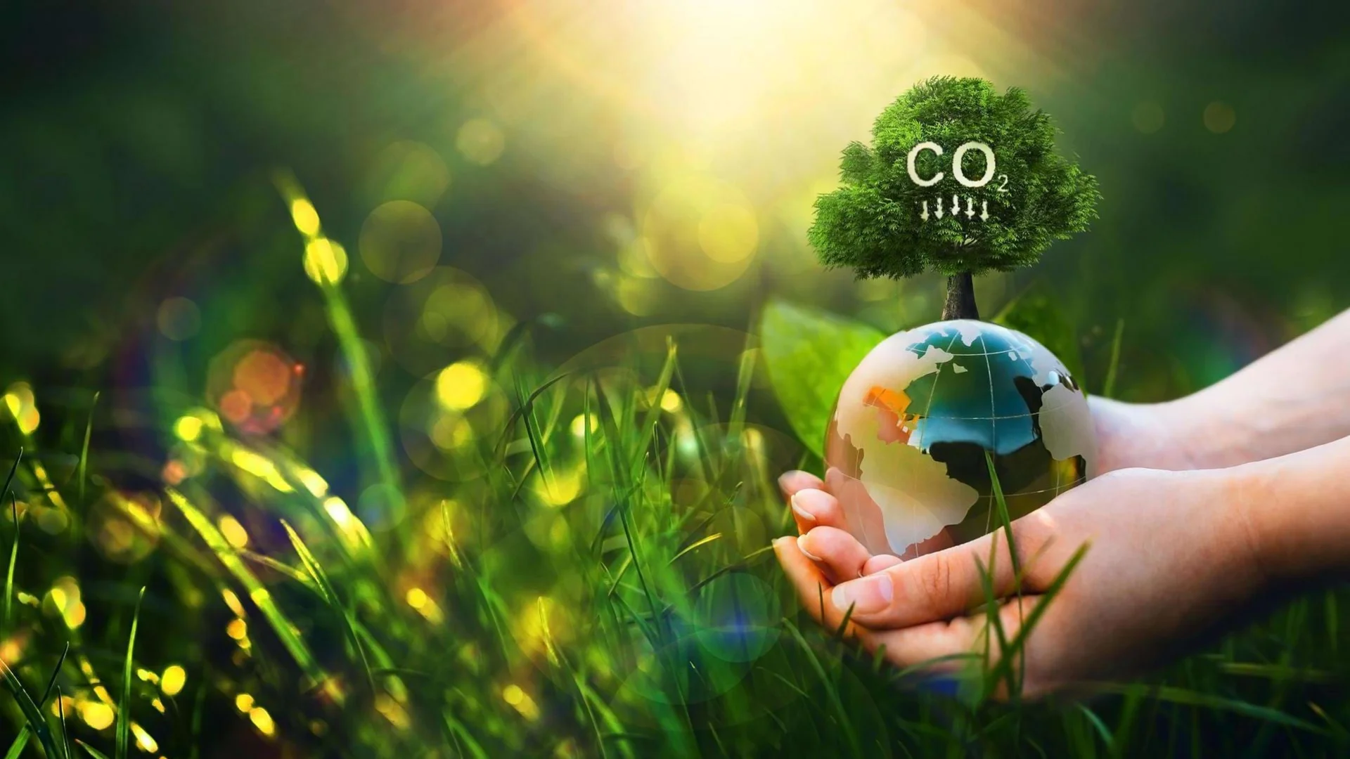 Weltkugel mit Baum mit CO2 Aufschrift vor Grashalmen