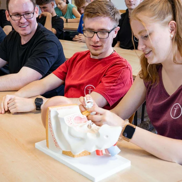 Studierende im dualen Studium Therapie- und Pflegewissenschaften lernen im Anatomiekurs praxisnah den menschlichen Körper kennen. Studierende im dualen Studium Therapie- und Pflegewissenschaften lernen im Anatomiekurs praxisnah den menschlichen Körper kennen.