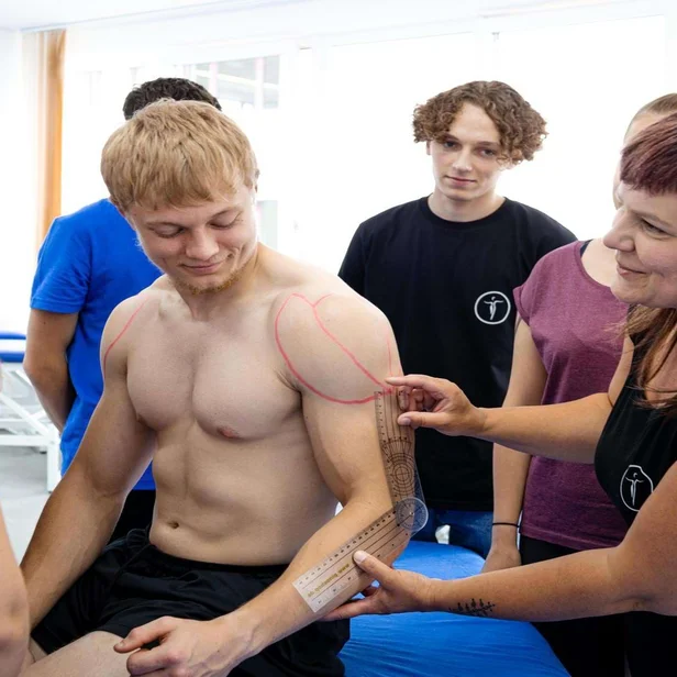 Eine Dozentin erklärt Studierenden im dualen Studium Physiotherapie den Aufbau und die Funktion des Ellenbogens.