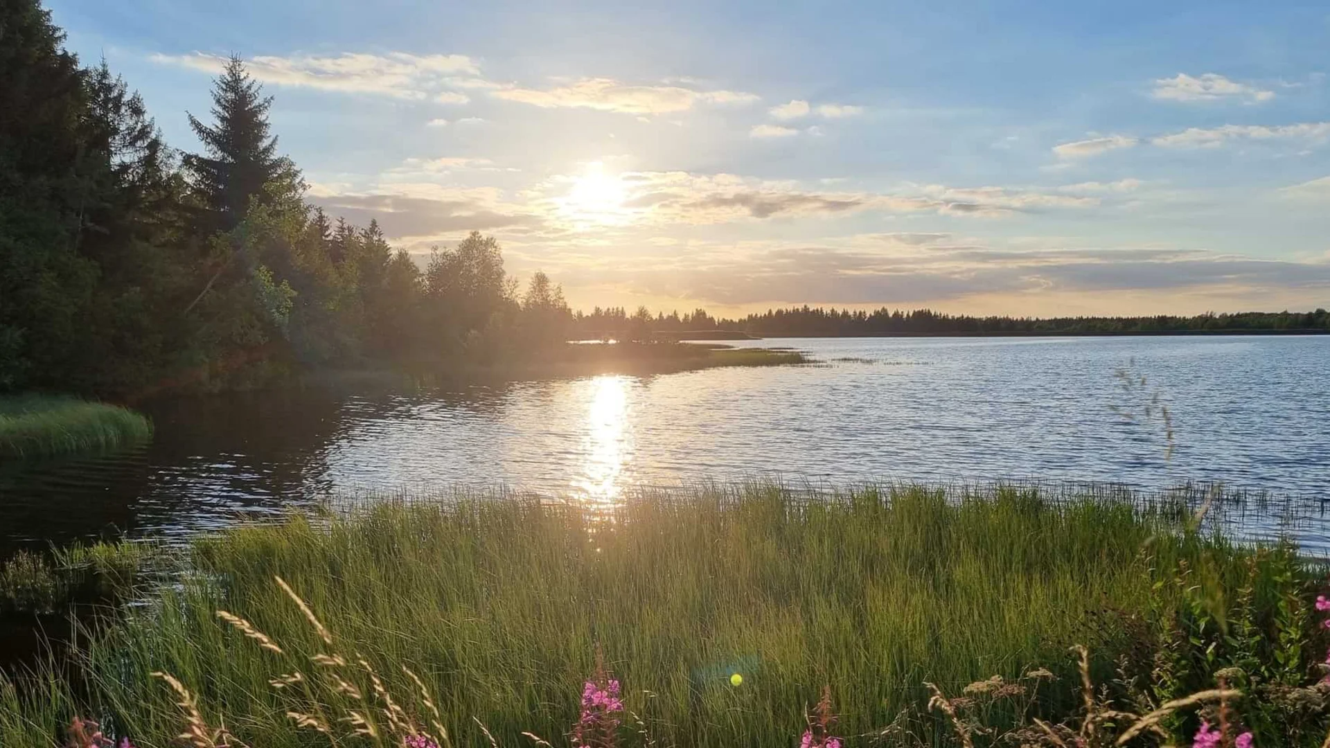 See an der Johannesbad Fachklinik Raupennest in Altenberg See an der Johannesbad Fachklinik Raupennest in Altenberg