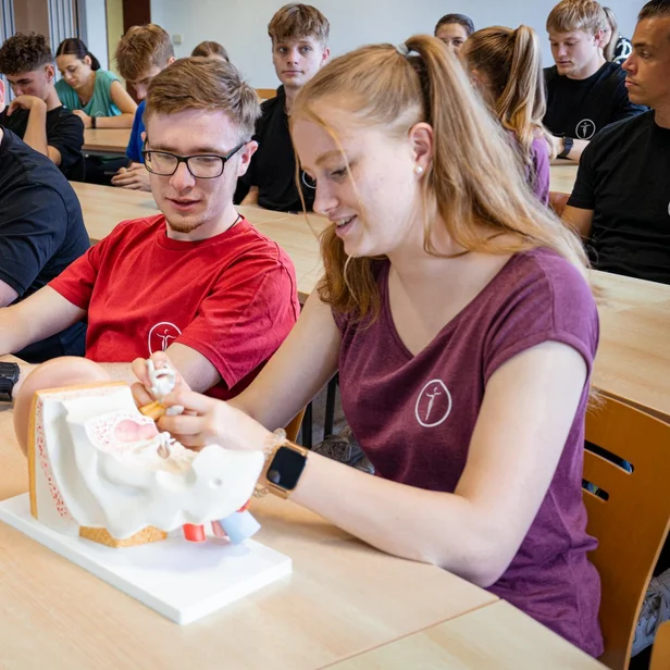 Ergotherapie-Schüler lernen im Anatomiekurs praxisnah den menschlichen Körper kennen. Ergotherapie-Schüler lernen im Anatomiekurs praxisnah den menschlichen Körper kennen.
