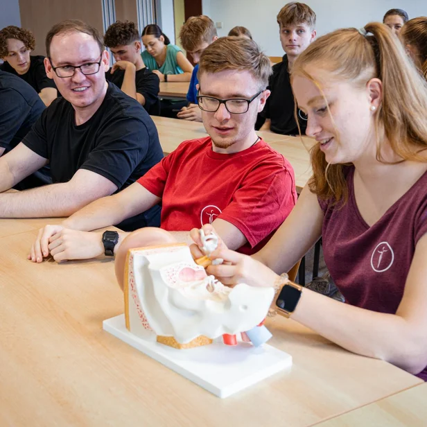 Ergotherapie-Schüler lernen im Anatomiekurs praxisnah den menschlichen Körper kennen. Ergotherapie-Schüler lernen im Anatomiekurs praxisnah den menschlichen Körper kennen.