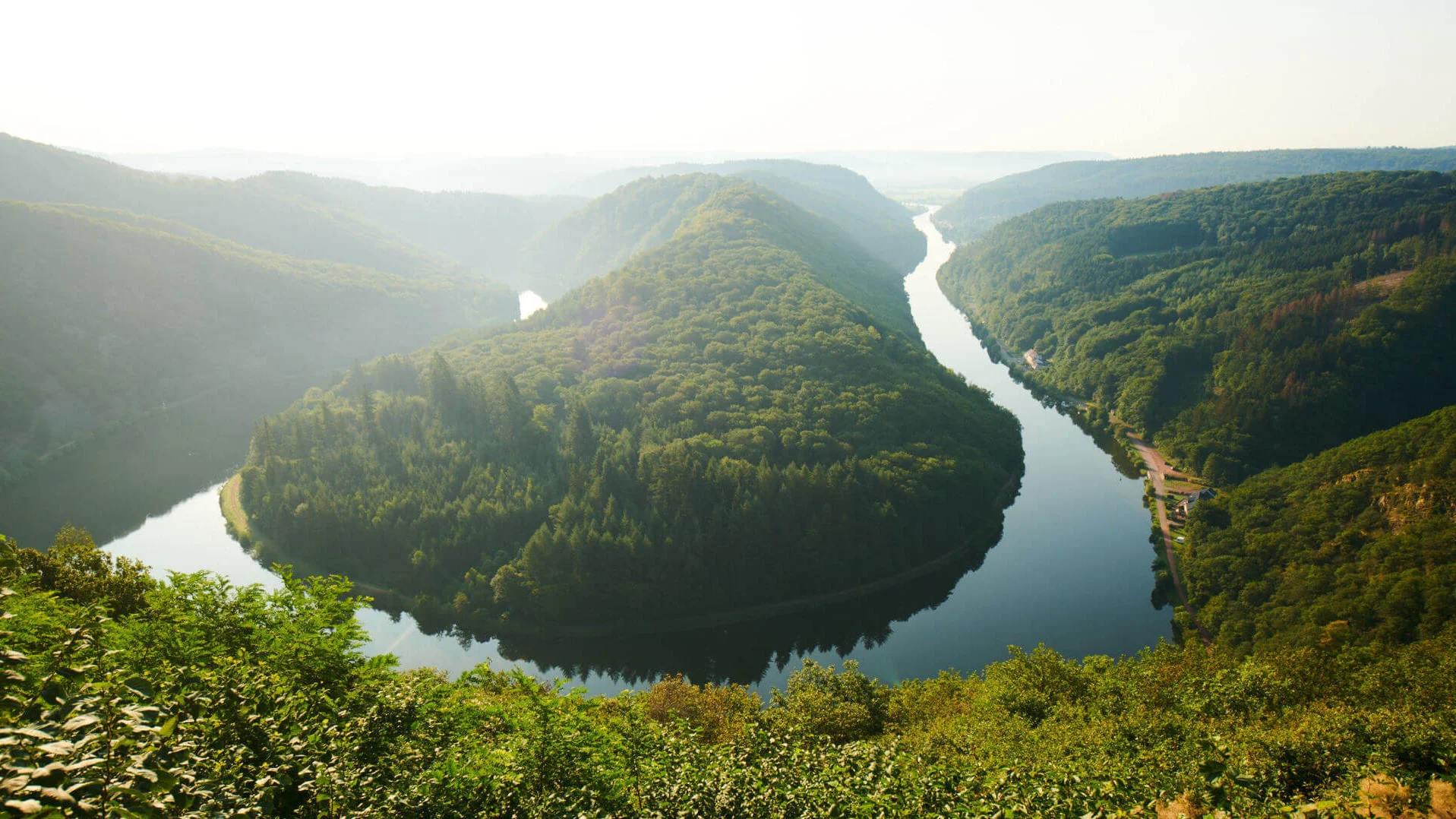 Saarschleife mit Wald