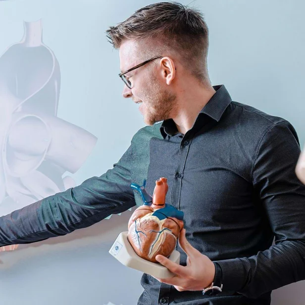 Ein Dozent erklärt im dualen Studium Physiotherapie die Anatomie des Herzens.